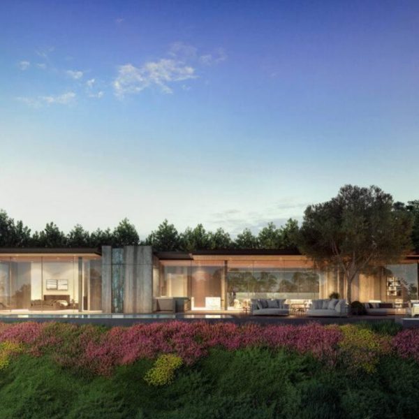 WhatsApp Image 2025-01-04 at 12.48.47 PM (1)